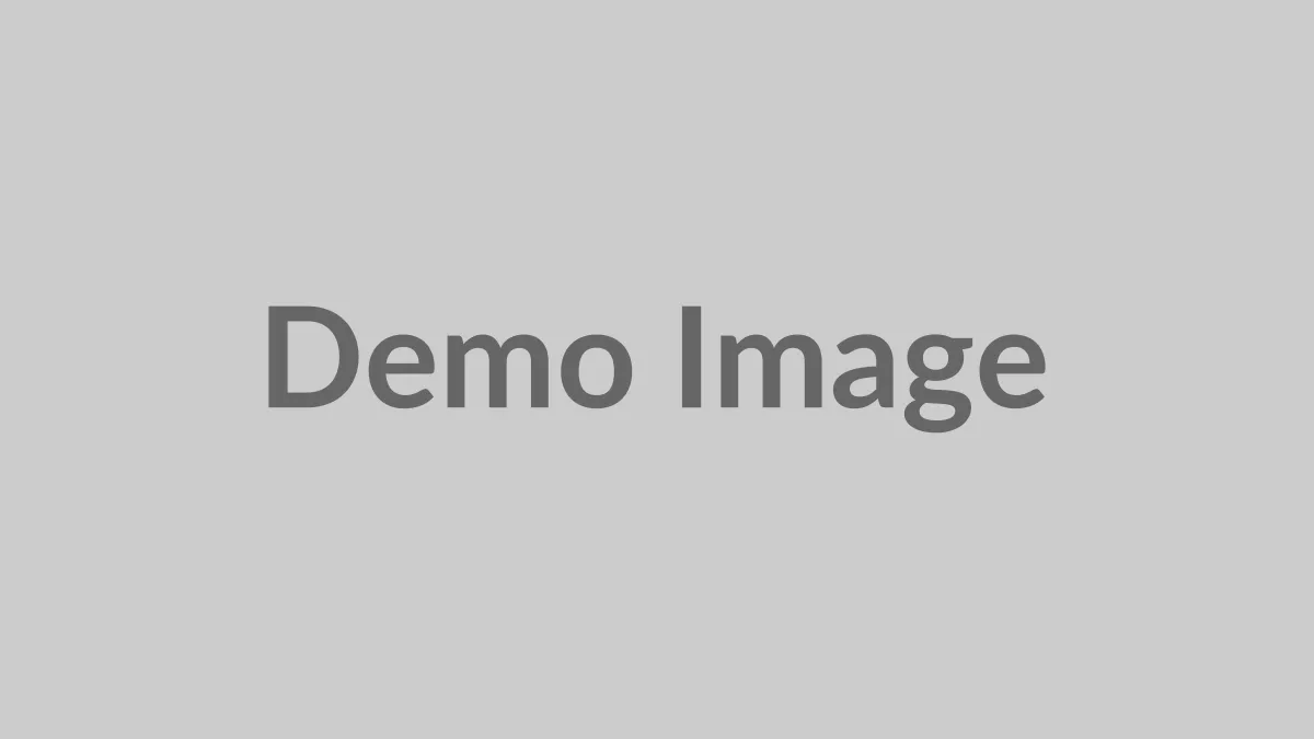 Artículo Demo